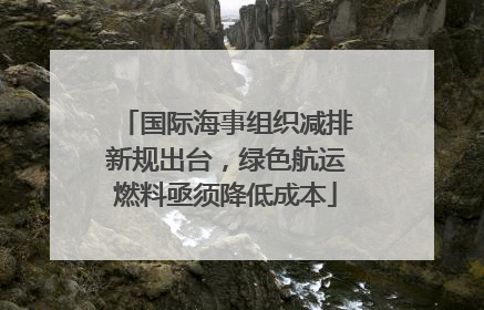 国际海事组织减排新规出台，绿色航运燃料亟须降低成本