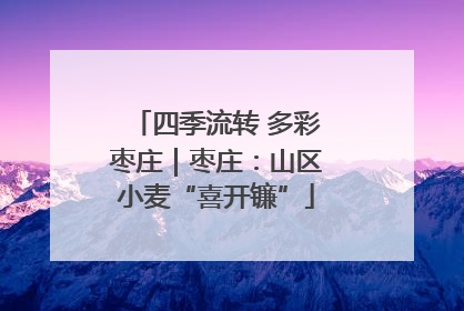 四季流转 多彩枣庄｜枣庄：山区小麦“喜开镰”