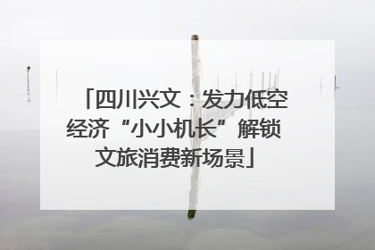 四川兴文：发力低空经济“小小机长”解锁文旅消费新场景