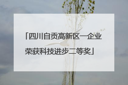 四川自贡高新区一企业荣获科技进步二等奖