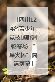四川124名青少年竞技越野滑轮赛场 “星火杯”圆满落幕