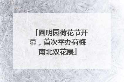 圆明园荷花节开幕，首次举办荷梅南北双花展