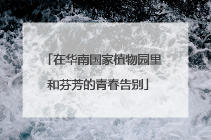 在华南国家植物园里和芬芳的青春告别