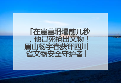 在崖墓坍塌前几秒，他冒死抢出文物！眉山杨宇春获评四川省文物安全守护者