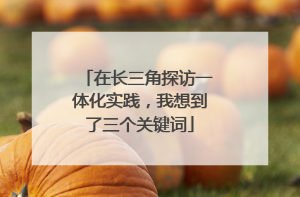 在长三角探访一体化实践，我想到了三个关键词