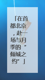 在首都北京，赴一场与月季的“倾城之约”