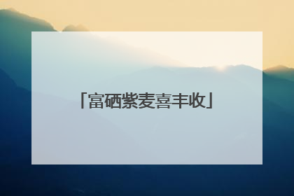 富硒紫麦喜丰收
