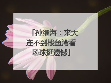 孙继海：来大连不到梭鱼湾看场球挺遗憾