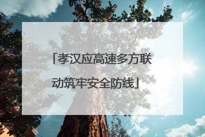 孝汉应高速多方联动筑牢安全防线