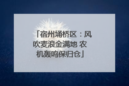 宿州埇桥区：风吹麦浪金满地 农机轰鸣保归仓