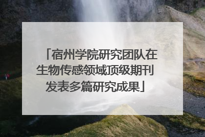 宿州学院研究团队在生物传感领域顶级期刊发表多篇研究成果