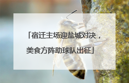 宿迁主场迎盐城对决，美食方阵助球队出征