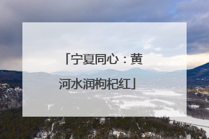 宁夏同心：黄河水润枸杞红