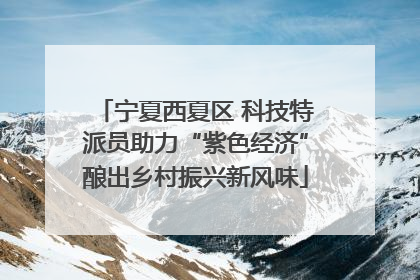 宁夏西夏区 科技特派员助力“紫色经济”酿出乡村振兴新风味