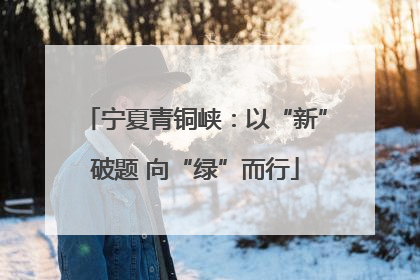 宁夏青铜峡：以“新”破题 向“绿”而行