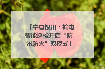 宁夏银川：输电智能巡检开启“防汛防火”双模式