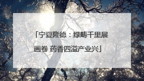 宁夏隆德：绿畴千里展画卷 药香四溢产业兴
