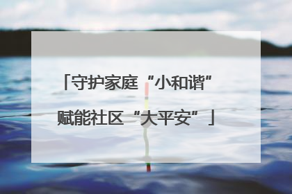 守护家庭“小和谐” 赋能社区“大平安”