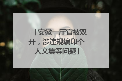安徽一厅官被双开，涉违规编印个人文集等问题