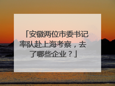 安徽两位市委书记率队赴上海考察，去了哪些企业？