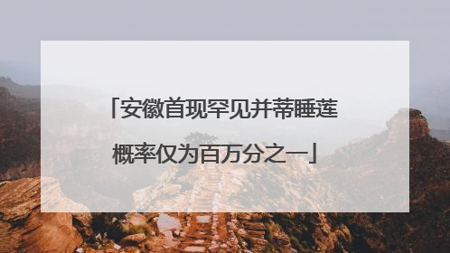 安徽首现罕见并蒂睡莲 概率仅为百万分之一