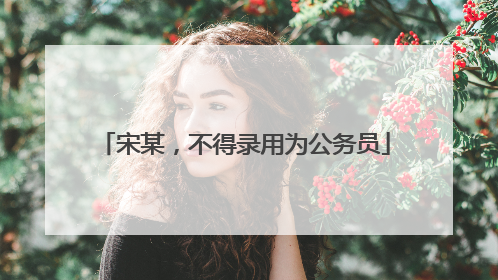 宋某，不得录用为公务员