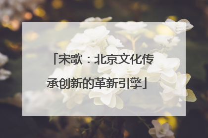 宋歌：北京文化传承创新的革新引擎