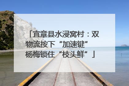 宜章县水浸窝村：双物流按下“加速键” 杨梅锁住“枝头鲜”