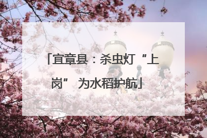 宜章县：杀虫灯“上岗” 为水稻护航