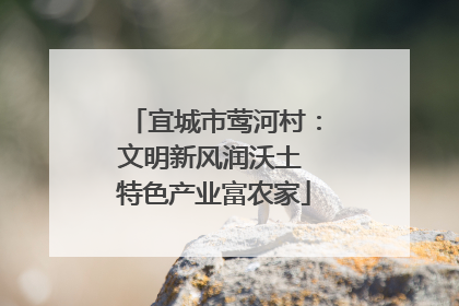 宜城市莺河村：文明新风润沃土 特色产业富农家