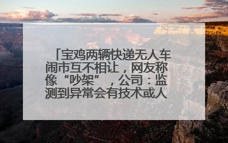宝鸡两辆快递无人车闹市互不相让，网友称像“吵架”，公司：监测到异常会有技术或人为干预处置
