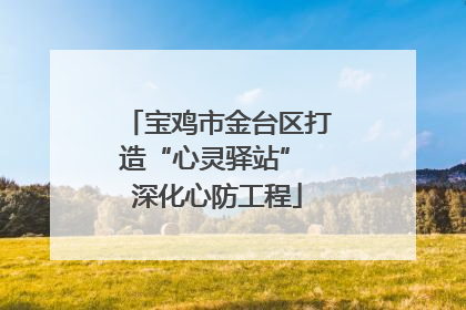宝鸡市金台区打造“心灵驿站” 深化心防工程