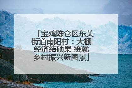 宝鸡陈仓区东关街道南阳村：大棚经济结硕果 绘就乡村振兴新图景