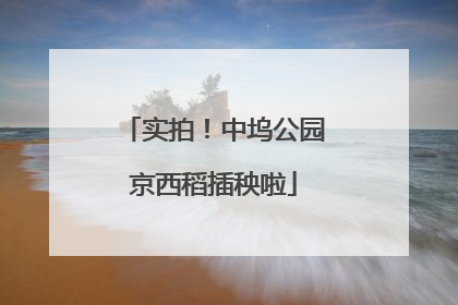 实拍！中坞公园京西稻插秧啦