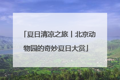 夏日清凉之旅丨北京动物园的奇妙夏日大赏
