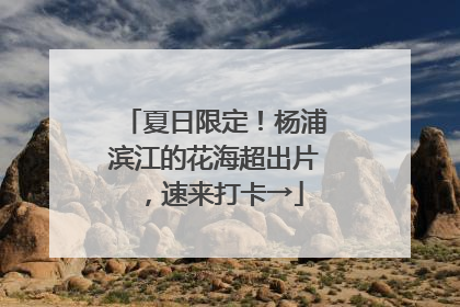 夏日限定！杨浦滨江的花海超出片，速来打卡→