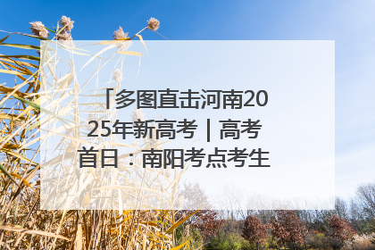 多图直击河南2025年新高考｜高考首日：南阳考点考生信心满满迎战