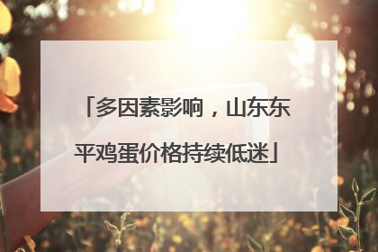 多因素影响，山东东平鸡蛋价格持续低迷