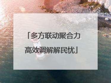 多方联动聚合力 高效调解解民忧
