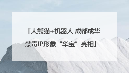 大熊猫+机器人 成都成华禁毒IP形象“华宝”亮相