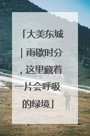 大美东城｜雨歇时分，这里藏着一片会呼吸的绿境