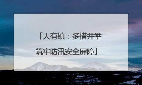 大有镇：多措并举筑牢防汛安全屏障