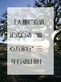 大栅栏街道正式启动“暖心万家行”三年行动计划