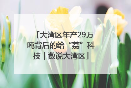 大湾区年产29万吨背后的给“荔”科技｜数说大湾区