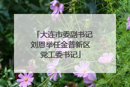 大连市委副书记刘恩举任金普新区党工委书记