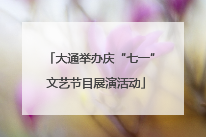 大通举办庆“七一”文艺节目展演活动