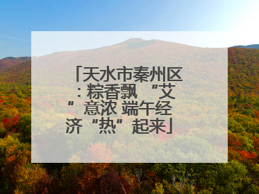 天水市秦州区：粽香飘 “艾”意浓 端午经济“热”起来