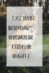 天门纺织服装电商产业跨越发展 打造行业新标杆