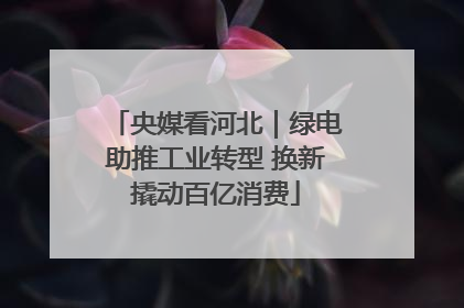 央媒看河北｜绿电助推工业转型 换新撬动百亿消费