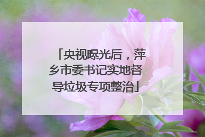 央视曝光后，萍乡市委书记实地督导垃圾专项整治